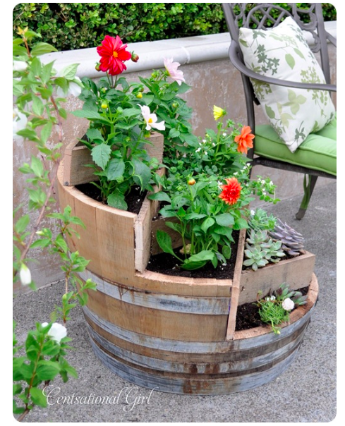 dit--Wine-Barrel-Planter--censationalstyle.com.png