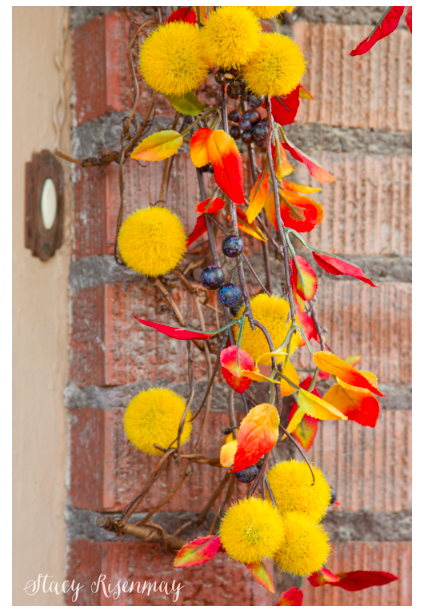 diy--Fall--Fall-Garland--stacyrisenmay.com.png