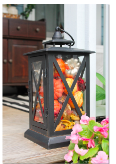 diy--Fall--Lantern-w-Pumpkins--dagmarbleasdaale.com.png