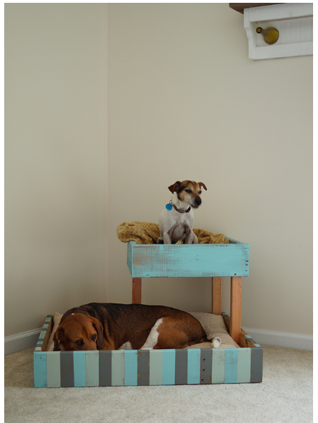 diy--Pallet-Dog-Bed--savedbylovecreations.com.png