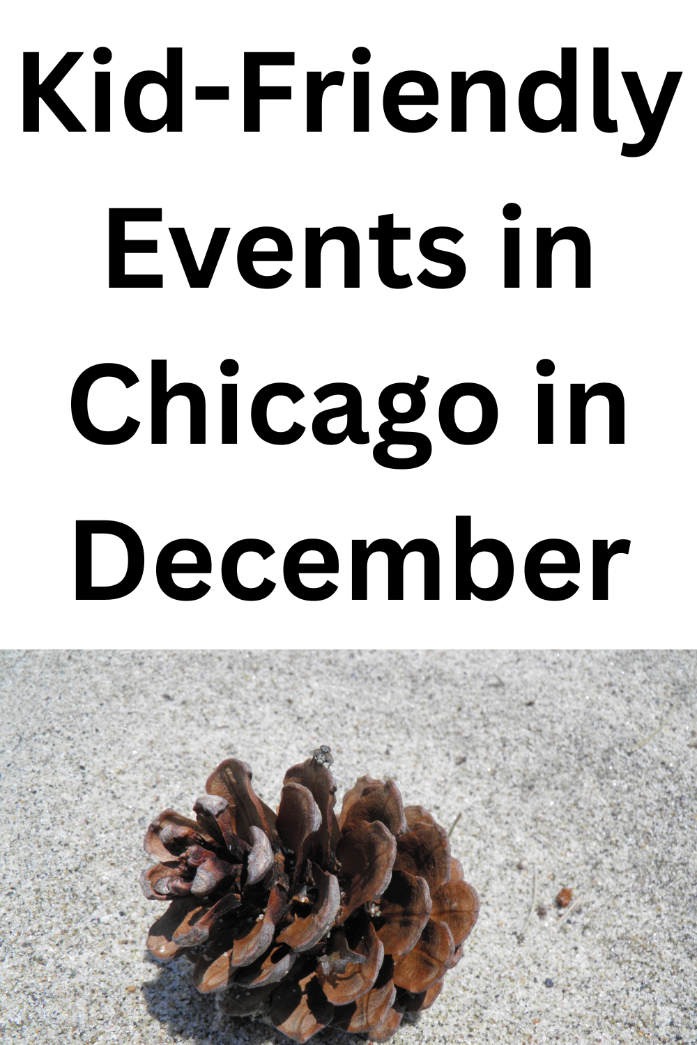 Kid-Friendly Events in Chicago in December