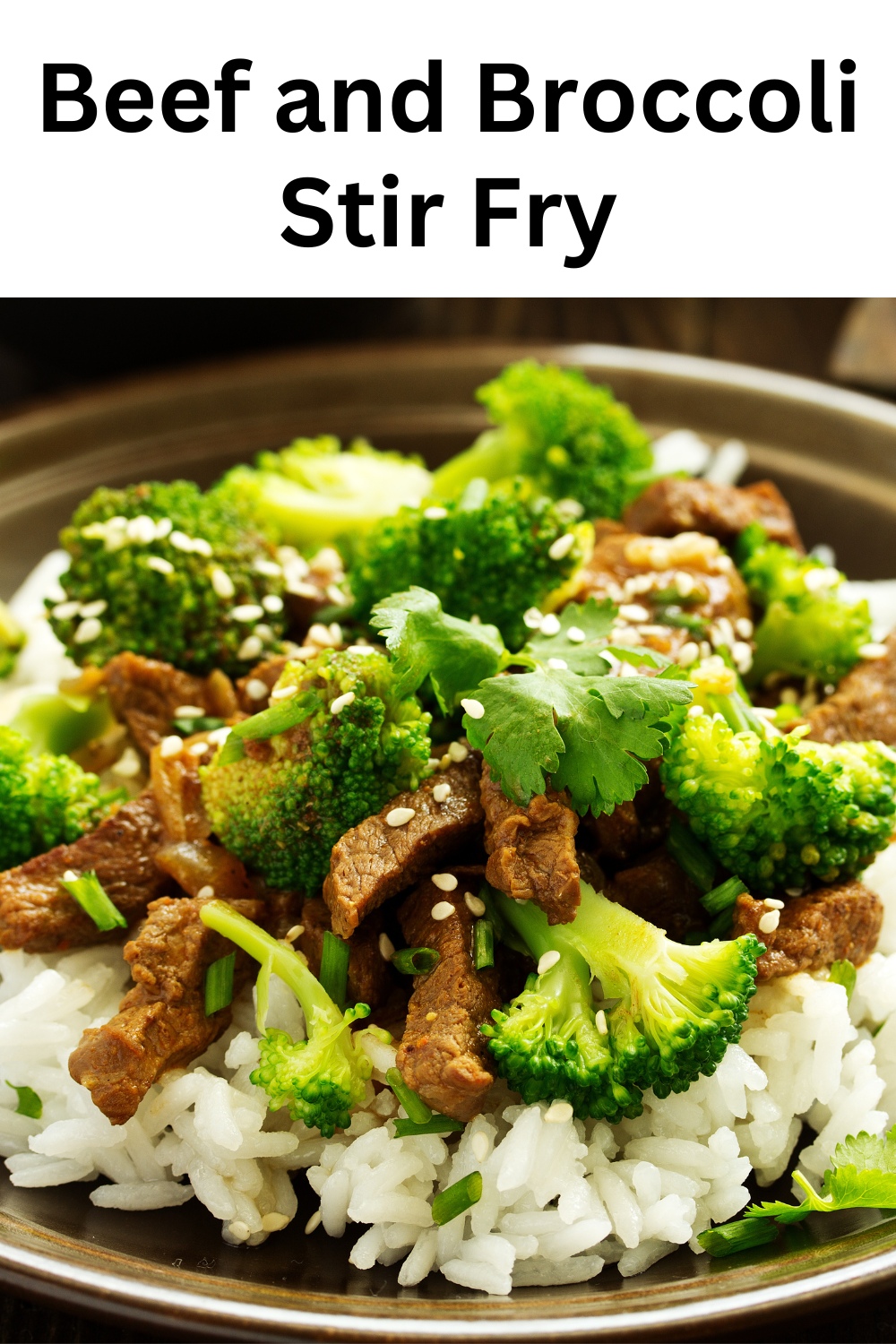 Beef and Broccoli Stir Fry