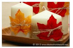 diy--Fall--Fall-Candles--thatwhatchesaid.com.png