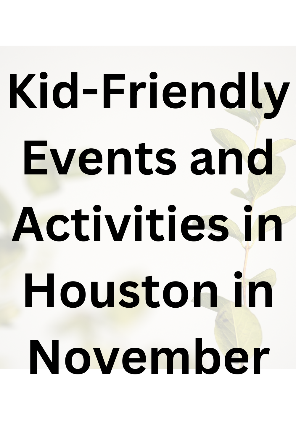 Kid-Friendly Events in Houston in November